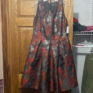 Roz & Ali A-Line Dress